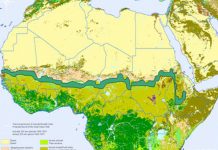 En África se plantan árboles para construir una gran muralla verde que frene la desertificación del Sáhara