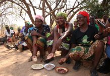 Tres agricultoras muestran orgullosas parte de su cosecha en una aldea vecina de la capital de Zambia. Las legumbres son buenas para la nutrición y como fuente de ingresos, en particular para las mujeres, responsables de la seguridad alimentaria de los hogares. Crédito: Busani Bafana/IPS
