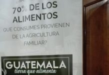 Agricultura-Familiar-Guatemala