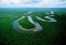 Amazonia-utn-edu