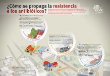 ECDC resistencia a los antibióticos