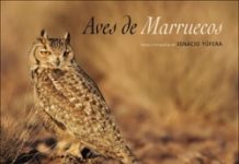 Aves de Marruecos, portada