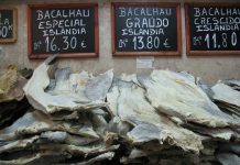 bacalao islandia