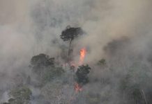 El Gobierno tardó una semana en enviar un equipo para apagar los incendios. © INPE