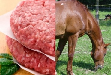 carne_caballo Un biosensor detectará adulteraciones de carne de caballo en la ternera