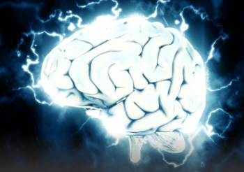 cerebro-350x246 Córtex prefrontal: cuando la ansiedad se dispara