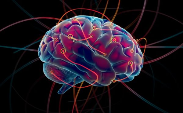 conectoma-cerebro-600x370 Dislexia: entrenamiento cerebral para evitarla