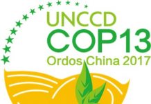 COP13-logo