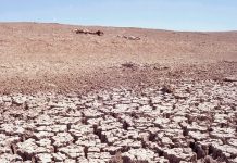 Greenpeace, desertificación en España
