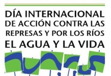 dia internacional rios agua y vida