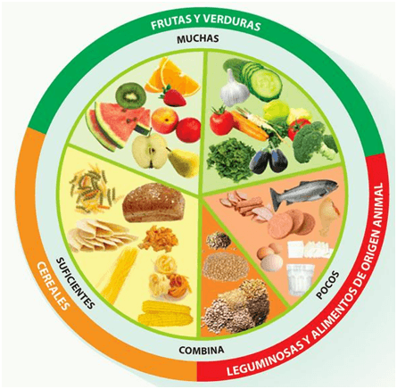 dieta-ancianos Nutrición para los mayores, un seguro de vida