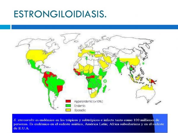 estrongiloidiasis-7-728-600x450 Enfermedad de Chagas e infección por estrongiloidiasis en Latinoamérica