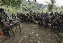 Unidad de las FARC en proceso de desarme. Foto: pulzo.com