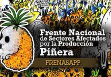 frente-productores-de-piña-costa-rica