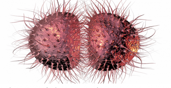 gonorrea-600x311 Afectado un hombre de un tipo de gonorrea incurable