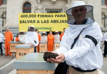 Apicultores y activistas de Greenpeace entregan en el Ministerio de Agricultura de España 400 000 firmas para salvar las abejas. ©Greenpeace / Mario Gómez