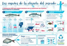 Infografía de Greenpeace sobre el etiquetado del pescado