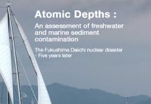 Portada del informe de Greenpeace sobre la contaminación que sigue produciendo Fukushima en febrero de 2016