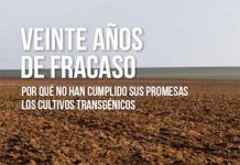 Greenpeace: Veinte años de fracaso. Por qué no han cumplido sus promesas los cultivos transgénicos, portada