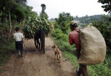 Guatemala necesita invertir en desarrollo rural