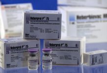 Muestra del medicamento HebertPro-P, desarrollado por el Centro de Ingeniería Genética y Biotecnología de Cuba, que ayuda a evitar las amputaciones por ulceraciones profundas que provoca la diabetes. Crédito: Jorge Luis Baños/IPS