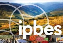 ipbes escenarios modelos