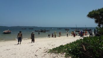 En la playa de Gasi, sobre el océano Índico en Kenia, la gente espera la llegada de los pescadores para comprar pescado fresco. Foto: Diana Wanyonyi/ IPS.