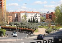 Rotonda de Madrid con olivos