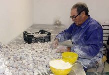 Mondelo, reportaje sobre la cosecha de higos secos en Cebolla, Toledo