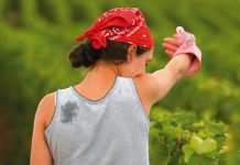 Mujeres en la agricultura
