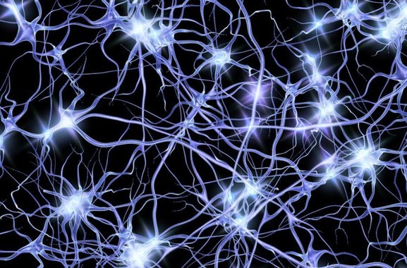oleadas-de-actividad-neuronal-dan-nuevas-pistas-sobre-el-alzheimer_image_380 Anosognosia: ¿Qué síntomas tengo?