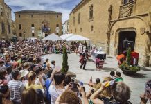 Feria de Teatro de Castilla y León, Fachada del Palacio de los Ávila y Tiedra