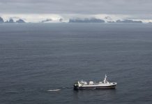 Barcos de pesca de krill en las cercanías de Trinity Island. Greenpeace está realizando investigaciones científicas y documentando la fauna única de la Antártida, para fortalecer la propuesta de crear la mayor área protegida del planeta, un Santuario del Océano Antártico. FOT: Daniel Beltrá