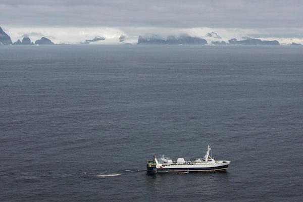 pesca-de-krill-Antartida-Daniel-Beltra-600x400 Pesqueros le roban la comida a ballenas y pingüinos en la Antártida