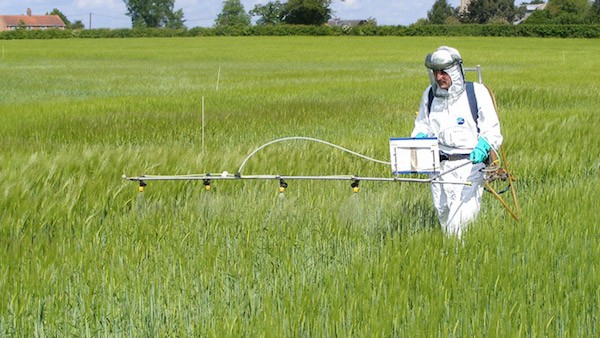 pesticidas-glifosato México busca el reemplazo del agroquímico y comienza con el glifosato y al maíz transgénico