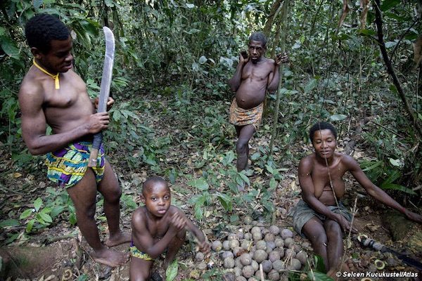 pigmeos-bakas-camerun-600x400 WWF investigada por la OCDE por sus actividades en Camerún