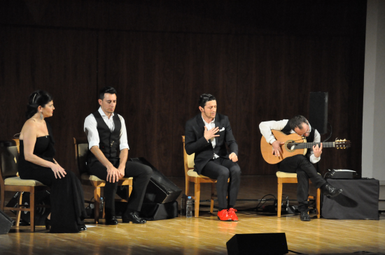 David palomar en concierto. Fotos Centro Nacional de Difusión Musical (CNDM) Auditorio Nacional, Madrid, 4 de marzo 2016