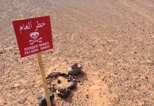 Minas antipersona señalizadas por el Polisario en el Sáhara