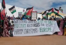 Refugiados del Sahara occidental celebraron la sentencia del tribunal de la UE