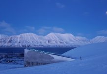 semillas Svalbard