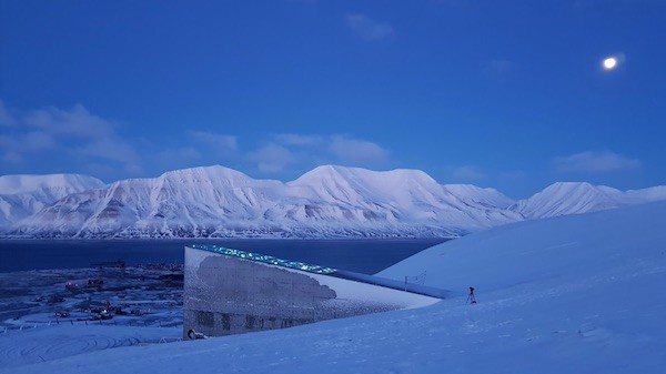 semillas-Svalbard El Arca de Noé vegetal ha cumplido diez años y alberga un millón de especies