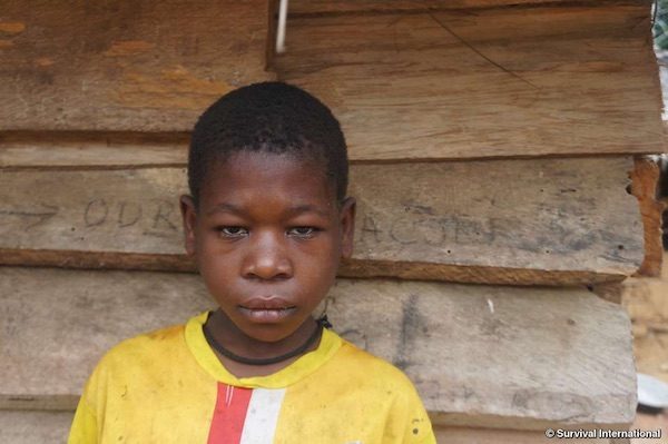 survival-menor-baka-torturada-camerun-600x399 WWF investigada por la OCDE por sus actividades en Camerún