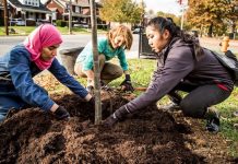 Jóvenes plantan árboles urbanos