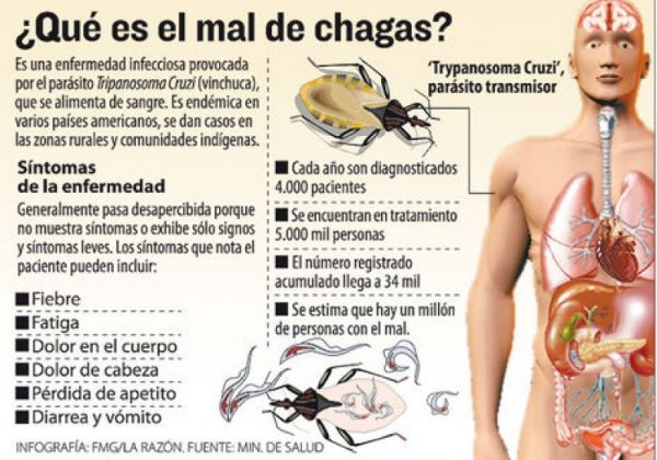 timthumb.php_-600x420 Enfermedad de Chagas e infección por estrongiloidiasis en Latinoamérica