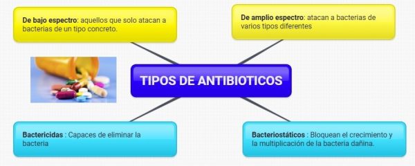 tipos-de-antibioticos-600x240 España, líder en consumo de antibióticos