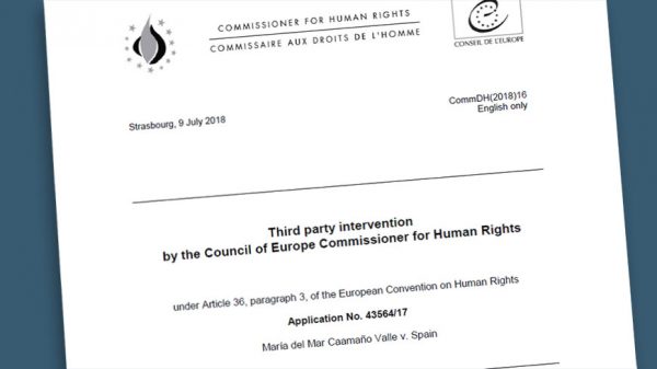 tpi-right-to-vote-disabilities-2018-870x489-600x337 Discapacidad: El Consejo de Europa advierte a España acerca del derecho de voto