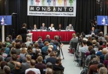 Lectura de la sentencia del Tribunal Monsanto que declara a la multinacional culpable de ecocidio