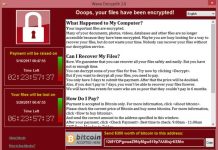 wannacry-virus-web